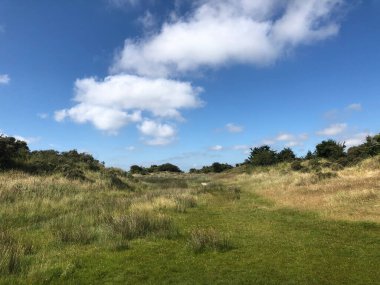 Hollanda 'daki Schiermonnikoog adasında Doğa Koruma Kobbeduinen