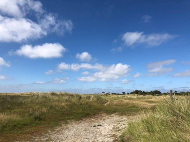 Hollanda 'daki Schiermonnikoog adasında Doğa Koruma Kobbeduinen