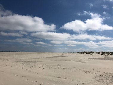 Schiermonnikoog 'daki plaj, Hollanda