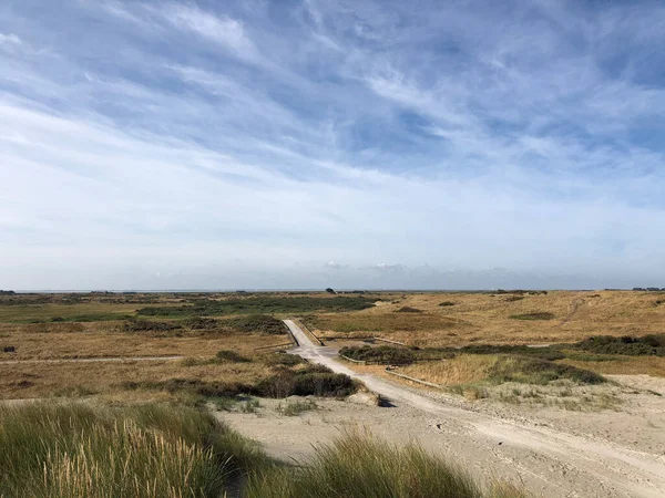 Paisagem Ilha Ameland Frísia Países Baixos — Fotografia de Stock