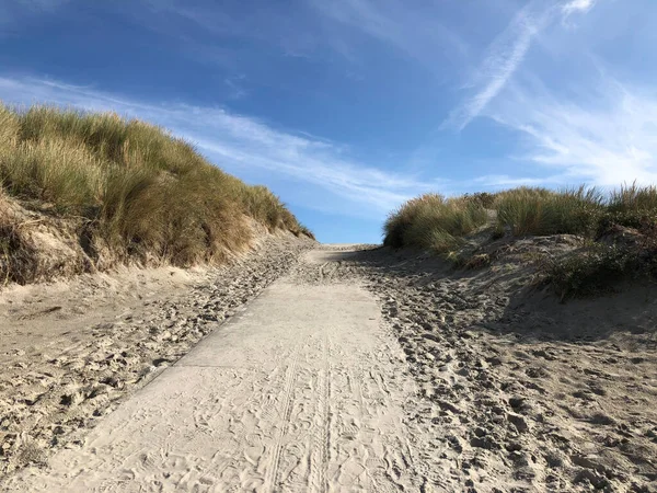 Cesta Pláž Ostrově Ameland Frísku Nizozemsko — Stock fotografie