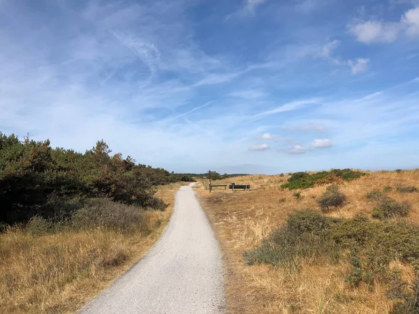 Camino Isla Ameland Frisia Países Bajos — Foto de Stock