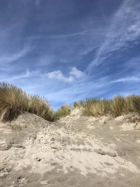 Homokdűnék Ameland Szigeten Frieslandben Hollandia — Stock Fotó