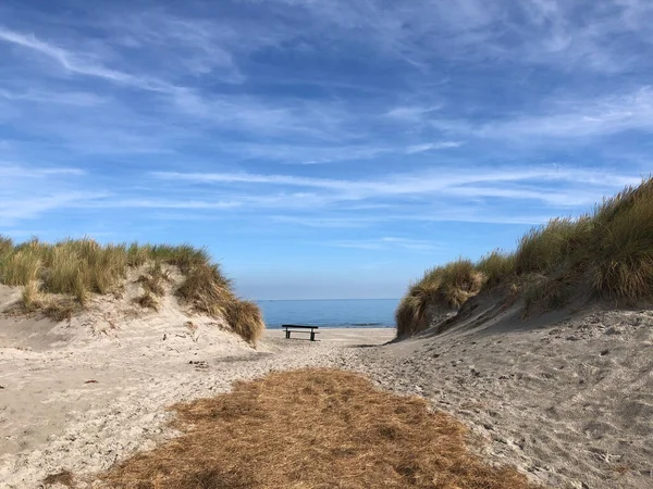 Ścieżka Kierunku Plaży Wyspie Ameland Friesland Holandia — Zdjęcie stockowe
