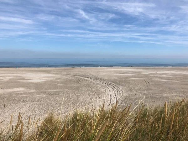 Friesland 'daki Ameland Adası' ndaki plaj. Hollanda.
