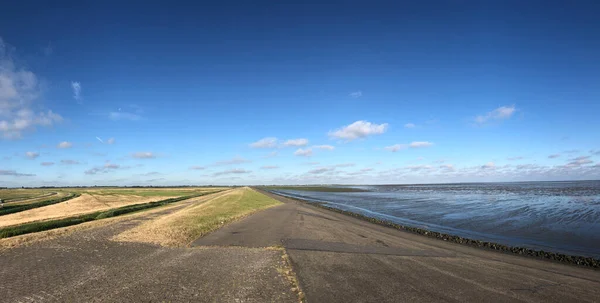 Panorama Dique Mar Ancho Alrededor Anjum Frisia Países Bajos — Foto de Stock
