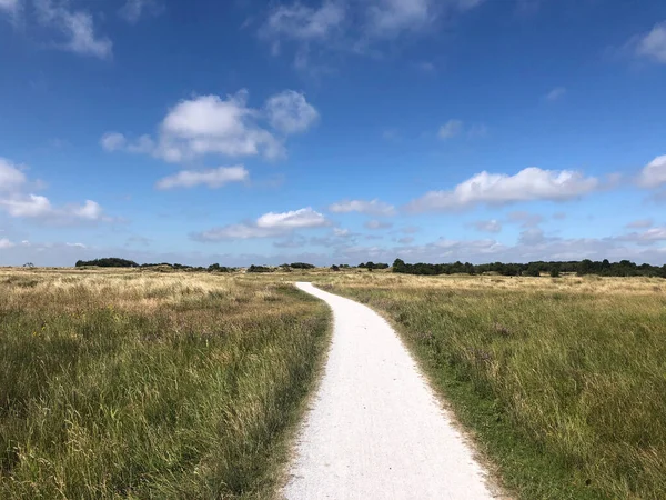 Carriles Bici Schiermonnikoog Frisia Países Bajos — Foto de Stock