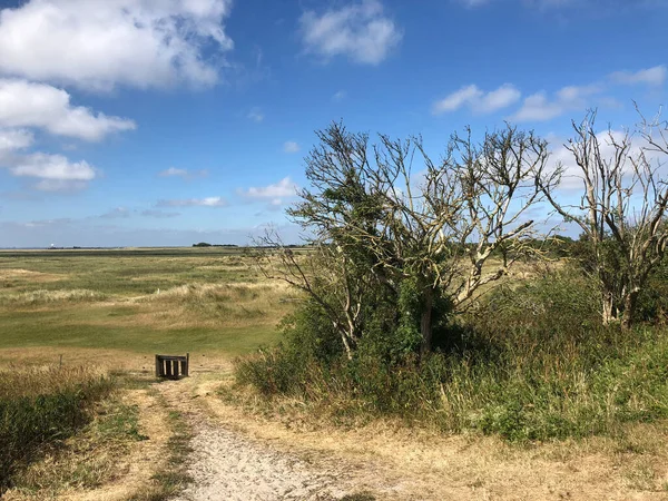 Natureza Preserve Kobbeduinen Ilha Schiermonnikoog Nos Países Baixos — Fotografia de Stock