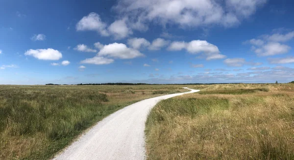 Panorama Del Paisaje Del Carril Bici Schiermonnikoog Frisia Países Bajos — Foto de Stock
