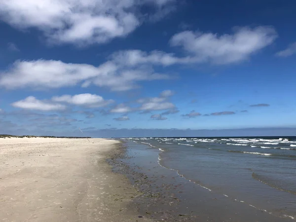 Medúzy Pláži Schiermonnikoog Nizozemsko — Stock fotografie