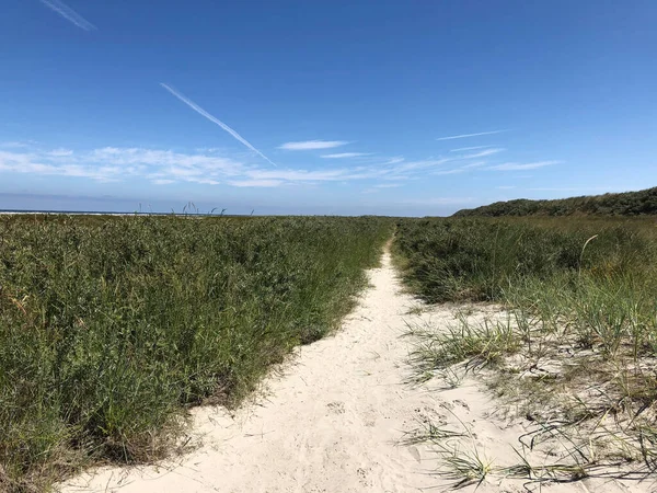 Шлях Пляжу Сьєрмоннікуг Нідерланди — стокове фото