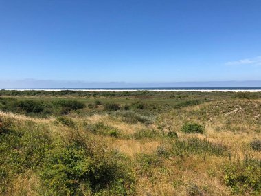 Hollanda 'daki Schiermonnikoog' da kum tepesi manzarası