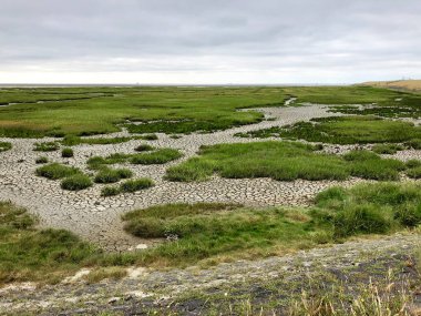 Terschelling, Friesland, Hollanda 'da sular çekildiğinde kuru toprak.