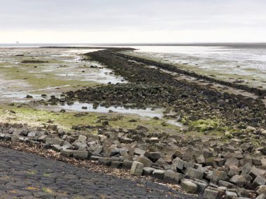 Hollanda, Friesland ve Terschelling 'de sular çekildiği sırada.
