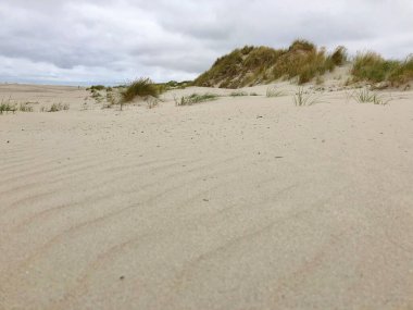 Terschelling 'deki plaj, Friesland Hollanda
