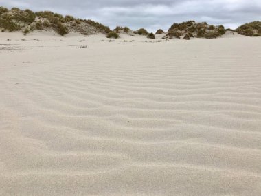 Terschelling, Hollanda 'daki kum tepeleri