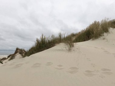 Terschelling, Hollanda 'daki kum tepelerindeki ayak izleri.