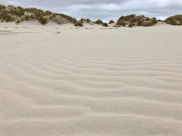 Dune Sabbia Terschelling Paesi Bassi — Foto Stock