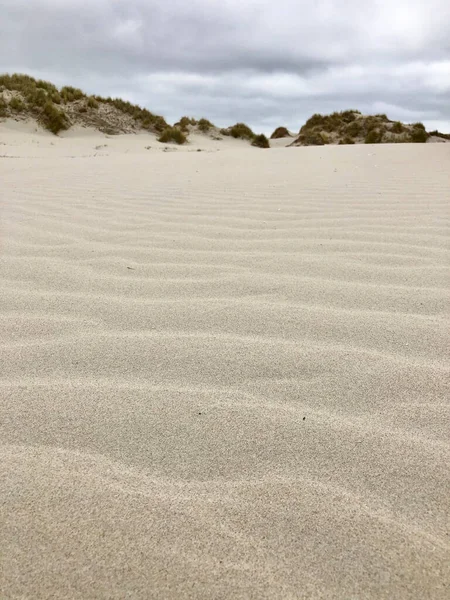 Dune Sabbia Terschelling Paesi Bassi — Foto Stock