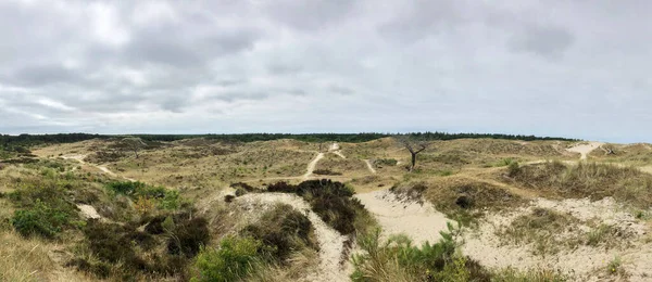 Panorama Písečných Dun Terschelingu Nizozemsko — Stock fotografie