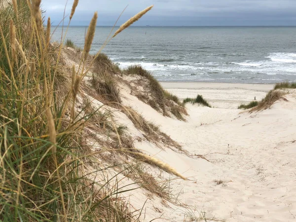 Útvonal Strand Felé Vlieland Hollandia — Stock Fotó