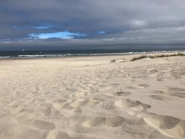 Пляж Вліланді Нідерланди — стокове фото