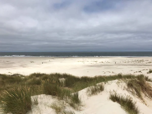 Dune Sabbia Spiaggia Vlieland Paesi Bassi — Foto Stock