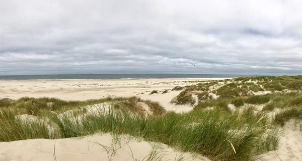 Kum Tepelerinden Hollanda Vlieland Deki Plajdan Panorama — Stok fotoğraf