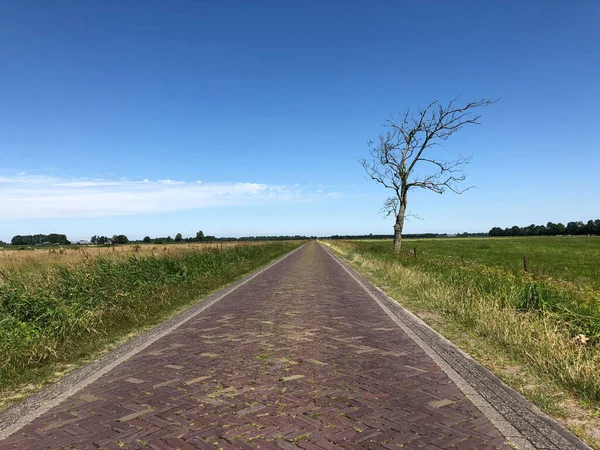 Road Alde Feanen Nemzeti Park Friesland Hollandia — Stock Fotó