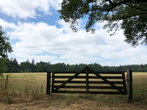 Fence in forest of Drents-Friese Wold in Appelscha, Friesland The Netherlands