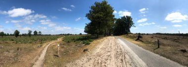 Drents-Friese Wold 'dan Panorama Appelscha, Friesland Hollanda