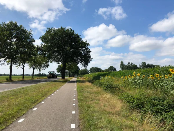 Tractor Een Weg Bij Gorredijk Friesland — Stockfoto