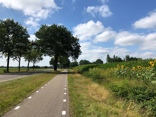 Дорога Фрісленді Нідерланди — стокове фото