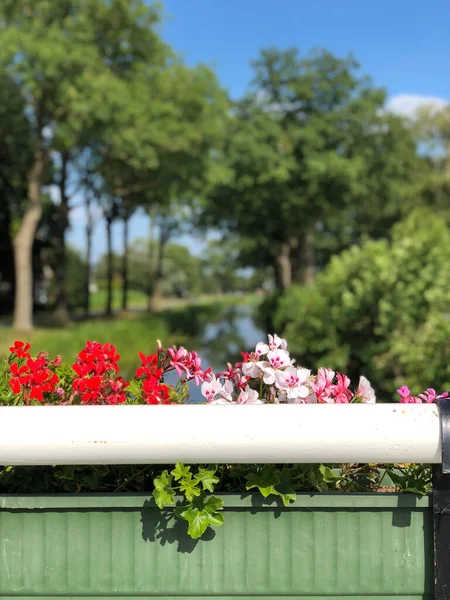 Canale Vicino Villaggio Bontebok Frisia Paesi Bassi — Foto Stock