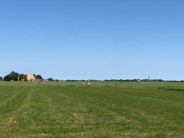 Landskap Runt Greonterp Liten Friesland Nederländerna — Stockfoto