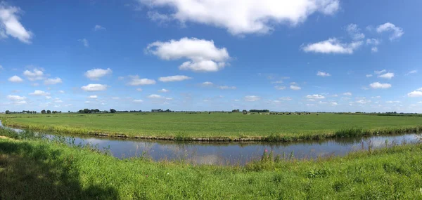 Panorama Tierras Agrícolas Alrededor Gytsjerk Frisia Países Bajos — Foto de Stock
