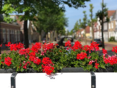 Harlingen, Friesland ve Hollanda 'daki Zoutsloot kanalının üzerindeki köprüde çiçek var.