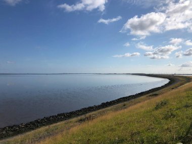 Hollanda 'daki dopdolu deniz ve deniz kuşları.