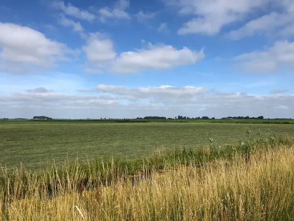 Paisaje Agrícola Frisia Países Bajos — Foto de Stock