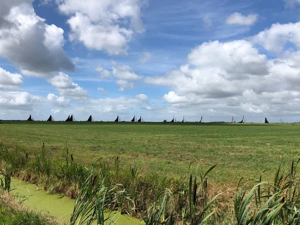 Skutsjesilen Frisia Países Bajos — Foto de Stock