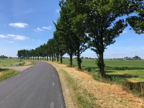 Camino Través Del Paisaje Frisón Los Países Bajos — Foto de Stock
