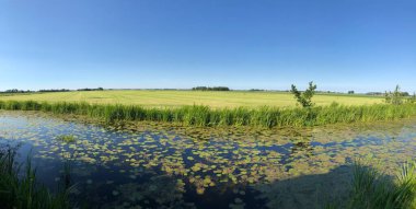 Hollanda 'nın Friesland kentindeki Sneekermeer nehrindeki yapraklı gölden gelen panorama.