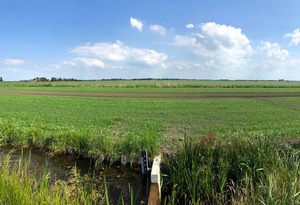 Waterniveaumeter Bij Een Kanaal Rond Landbouwgrond Friesland Nederland — Stockfoto