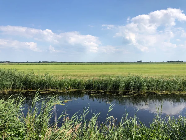 Kanal Und Landwirtschaftslandschaft Friesland Niederlande — Stockfoto