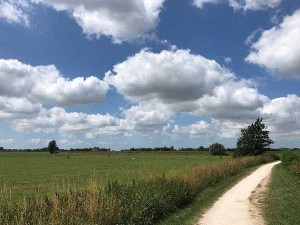 Cykelväg Mot Ijlst Friesland Nederländerna — Stockfoto