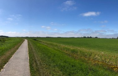 Hollanda 'daki Frizya manzarası boyunca bisiklet yolu