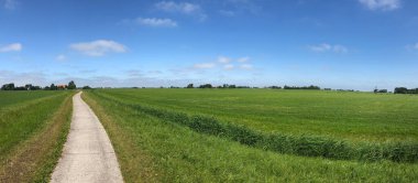 Hollanda 'daki Frizya manzarası boyunca bisiklet yolu