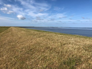 Friesland, Hollanda 'daki Zürih çevresindeki çorak denizde bir hendek.