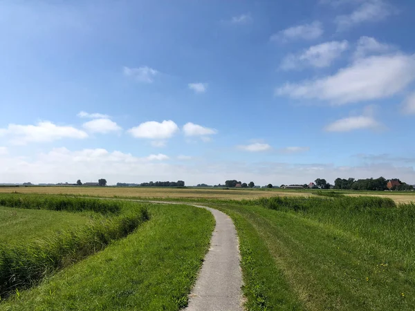 Ścieżka Rowerowa Przez Fryzyjski Krajobraz Holandii — Zdjęcie stockowe
