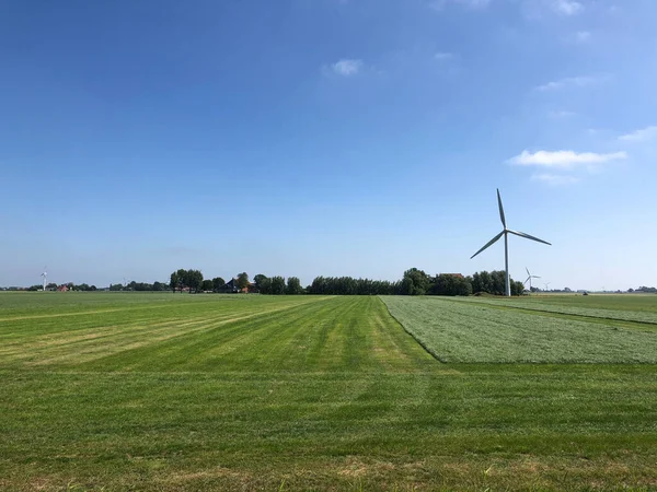 Farmland Windmill Friesland Netherlands — Stock Photo, Image